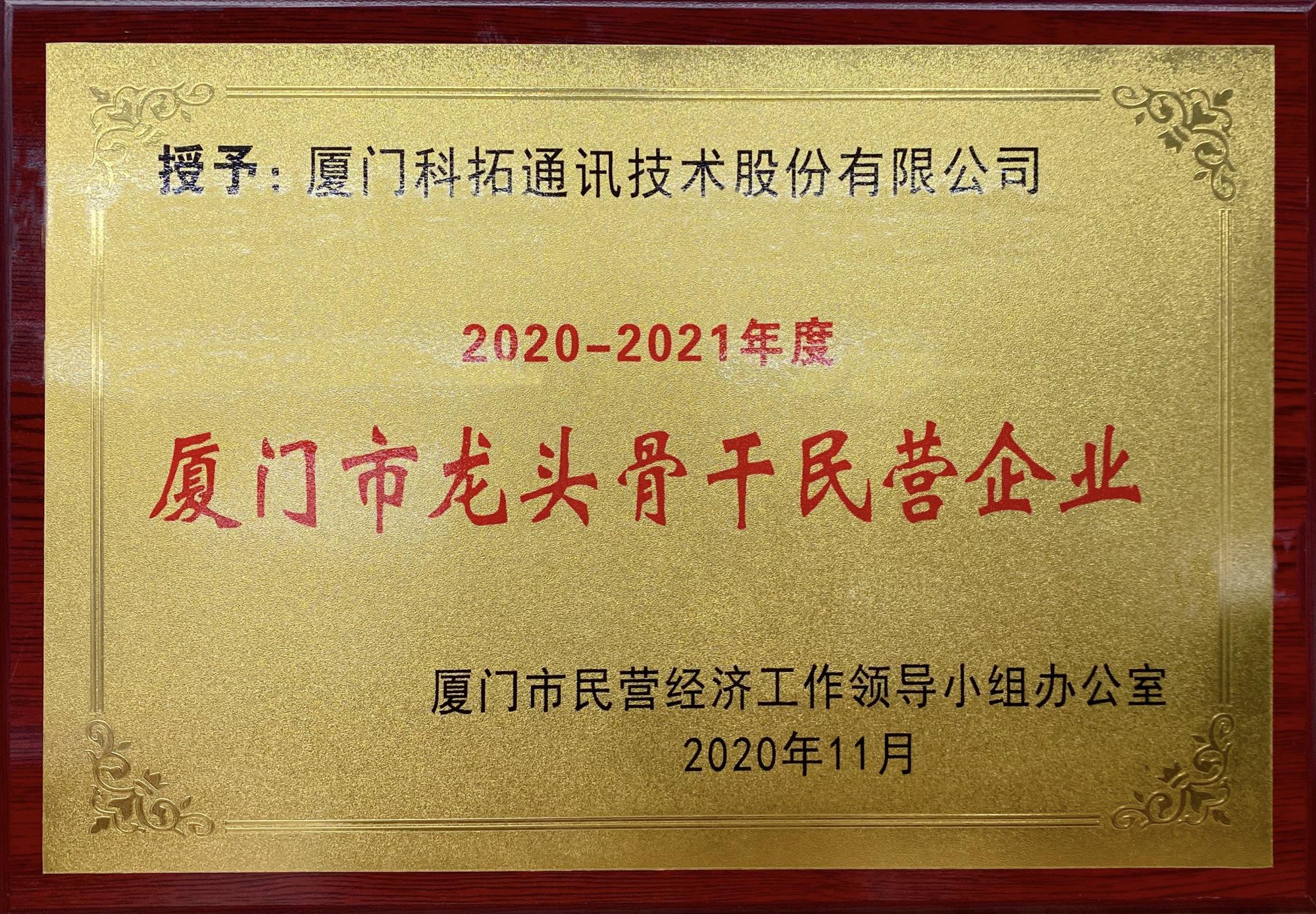 2020-2021年度廈門市龍頭骨干民營(yíng)企業(yè)